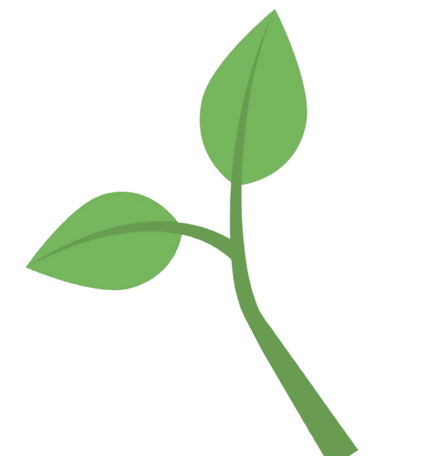 Mixed nutrient solution delivered to the plants